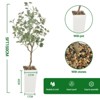 5FT Artificial Eucalyptus Tree in Pot, Tall Faux Eucalyptus Tree with White Tall Planter, Floor Plant Fake Plants Potted Indoor - 3 of 4