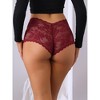 Allegra K Women's Full Coverage Transparent Lace Mid-Waisted Breathable Briefs - 2 of 4