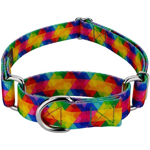 Country Brook Petz Kaleidoscope Martingale Dog Collar - image 1 of 4