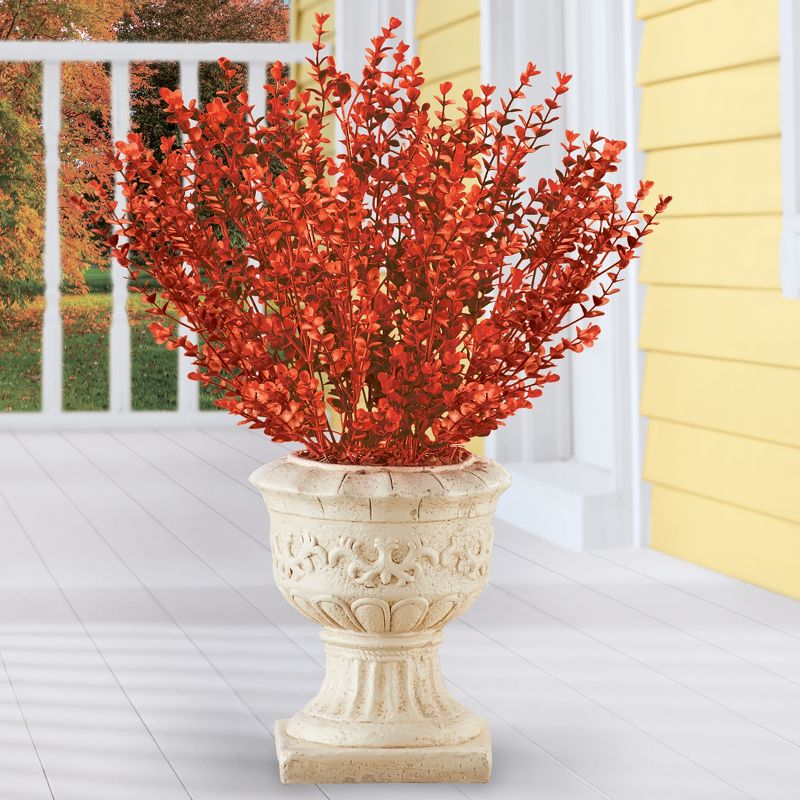 Collections Etc Barberry Bushes Set Of 3, 2 of 4