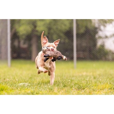 Imagen de producto 3