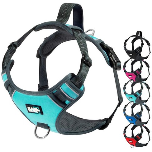 Black Rhino Adjustable Dog Harness With Mesh Padded Ves, Medium, Blue ...