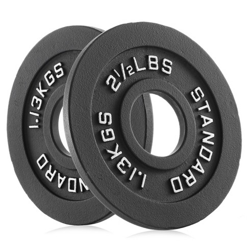 Philosophy Gym Set Of 2 Standard Cast Iron Olympic 2-inch Weight