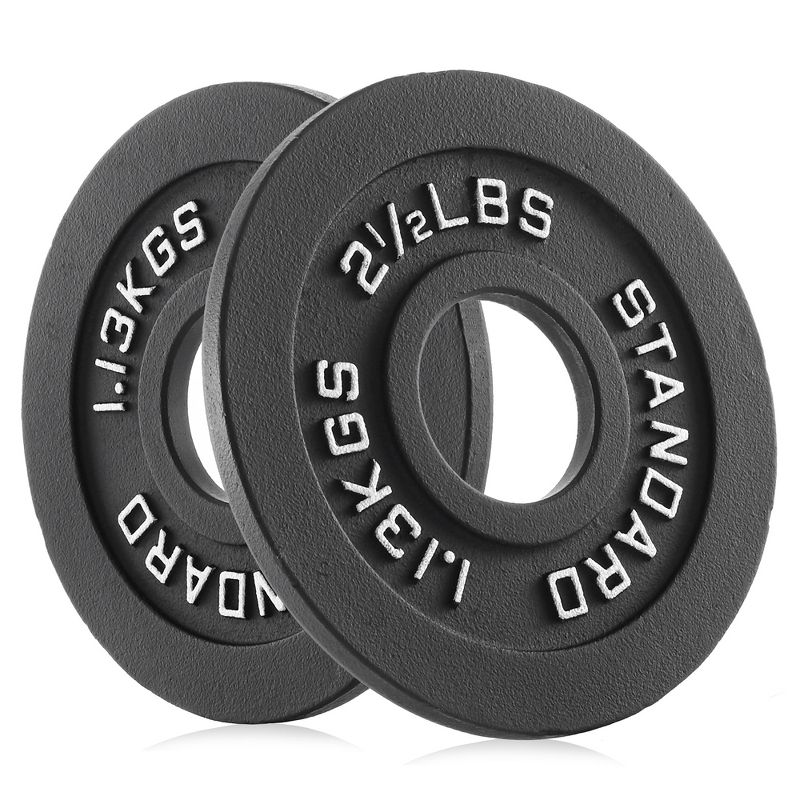 Philosophy Gym Set of 2 Cast Iron Olympic 2-inch Weight Plates, 1 of 6