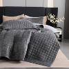 Hachikiko Soft Plush Luxurious Velvet Quilt Set with Pillow Shams, Modern Quilted Bedding for Bedroom & Guest Room Decor - 2 of 4
