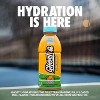 Ghost Hydration Drink, Orange Squeeze - 16.9 Fl Oz (Pack of 12) - image 3 of 4