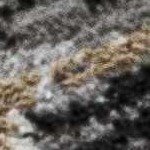 light gray, charcoal, gray, medium gray, dark purple