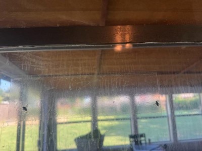 Guest review image 1 of 2, zoom in