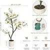 Faux Southern Magnolia Plant Yellow Flowered Magnolia, Artificial Magnolia Tree Inc. Realist Touch Flowers Vivid Leaves White Pot Dry Moss - 2 of 4