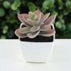 Unique Bargains Artificial Plants Plastic Pink 2.2"x2.2"x4.33" 1 Pcs - 2 of 4