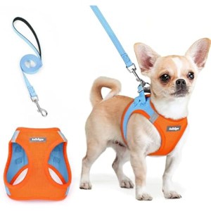 rabbitgoo and Leash Set, Step in Soft Light Puppy Vest, Breathable Mesh Pet Harness, Reflective for Safe Easy Walking, Blue & Orange XXS - 1 of 1