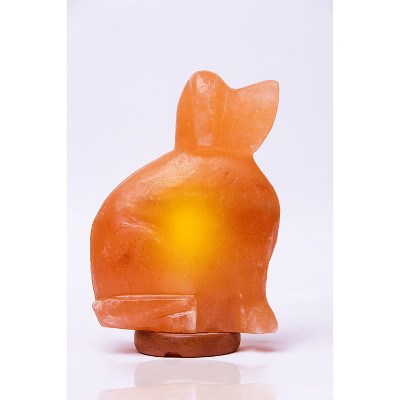 Dog Salt Lamp Pink - Q&A Himalayan Salt