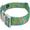 Country Brook Petz HossFit Jr Wide Premium Dog Collar - Critter Corner Collection - 4 of 4