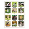 Puppies Monthly Desk Pad Calendar, Puppies Photography, 22 x 17, White Sheets, Clear Corners, 12-Month (Jan to Dec): 2025 - 3 of 4