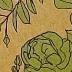 green tea with box (3 pieces)