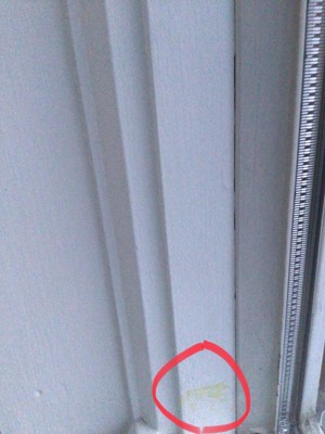 Guest review image 2 of 2, zoom in