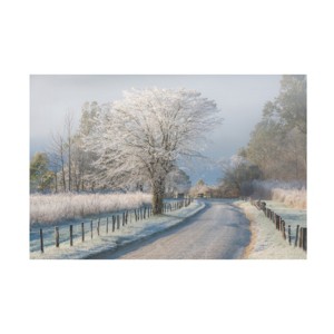 Trademark Fine Art -Chris Moore 'A Frosty Morning' Canvas Art - 1 of 4