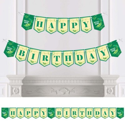 Big Dot of Happiness Double the Fun - Twins Two Peas in a Pod - First Birthday Party Bunting Banner - Birthday Party Decorations - Happy Birthday