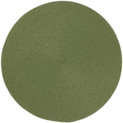 Braided BRD402 Hand Woven Area Rug  - Safavieh