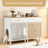 ORRD Cat Litter Box Furniture 2-Piece Set, 3-in-1 Hidden Enclosure with Charging Station, Scratching Doors & Drawer, Modern Side Cabinet - 2 of 4