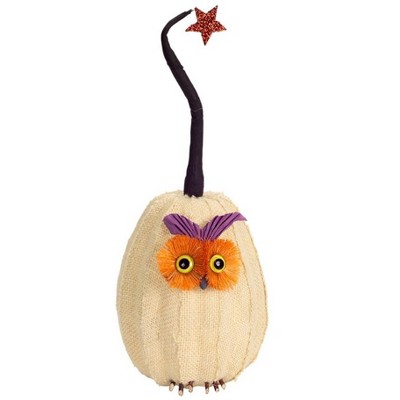 Melrose 15.5" Burlap Owl Pumpkin with Star Autumn Decoration - White/Orange