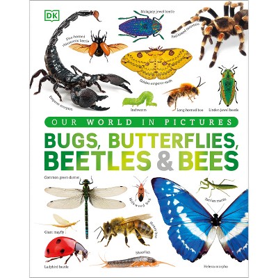 Our World in Pictures Bugs, Butterflies, Beetles and Bees - (DK Our World in Pictures) by  DK (Hardcover)