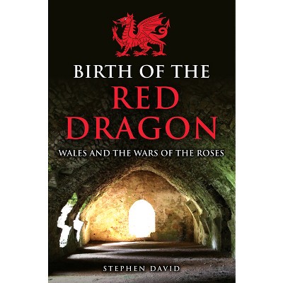 Birth of the Red Dragon - by  Stephen David (Hardcover)