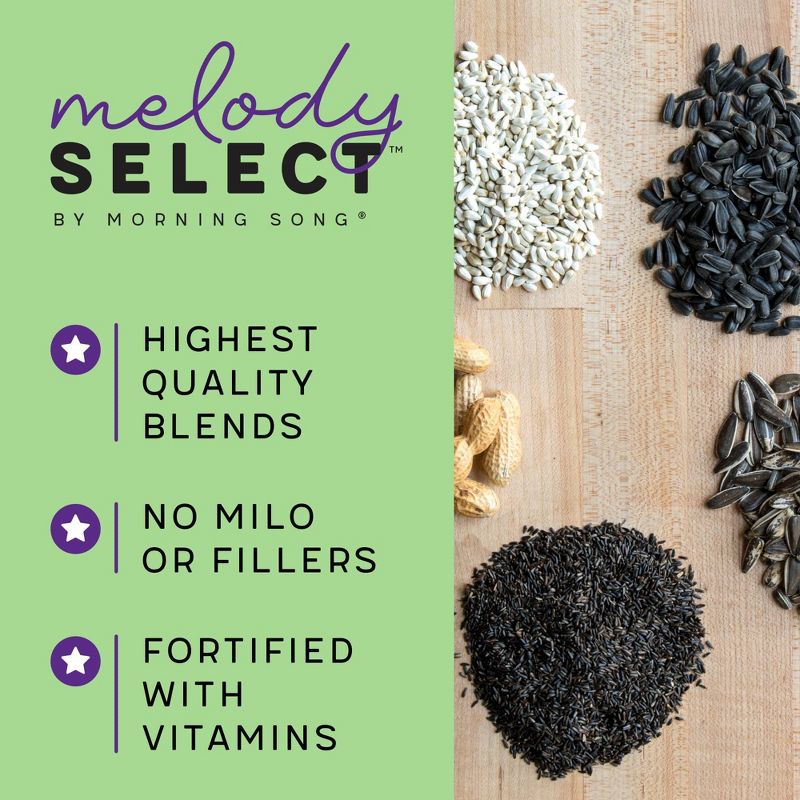 Melody Select 5lb Ultimate Finch Bird Food, 5 of 12