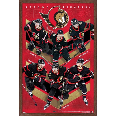NHL Buffalo Sabres - Drip Skate 21 Wall Poster, 22.375 x 34, Framed