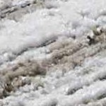 light gray, gray, light brown, white, medium brown, charcoal