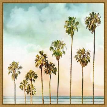 16" x 16" Beach Palms I by Devon Davis Framed Canvas Wall Art - Amanti Art