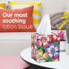 Puffs Plus Lotion Gentle & Soothing Facial Tissue - 4 of 4