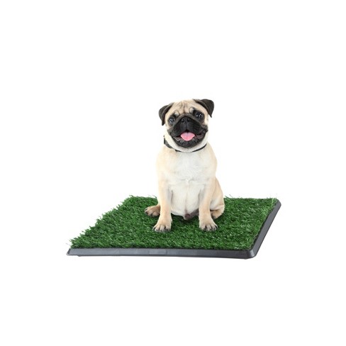 Pet Adobe Small Puppy Faux Grass Potty Trainer Mat 16 X 20 Target