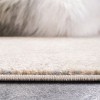 Adirondack ADR207 Non-Shedding Power Loomed Indoor Rugs - Safavieh - 3 of 4