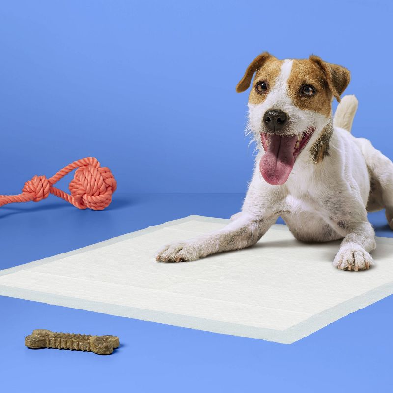 Dog Training Pads - L - up & up™, 2 of 5