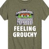 Boys' - Sesame Street - Feeling Grouchy Short Sleeve Graphic T-Shirt - 2 of 4