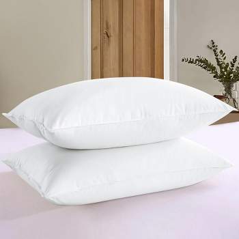 Pharmedoc Pregnancy Pillows, Shredded Memory Foam, Maternity Pillow For  Sleeping - Sage : Target