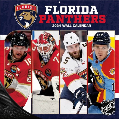 Nhl Carolina Panthers 12x 12 2024 Wall Calendar : Target