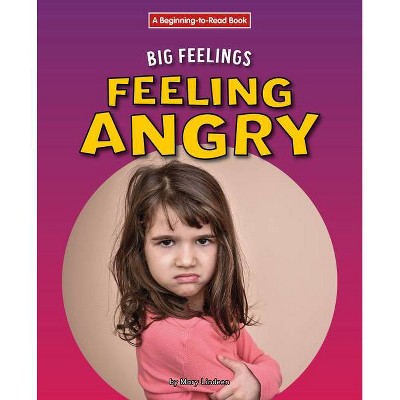 Feeling Angry - by  Mary Lindeen (Paperback)