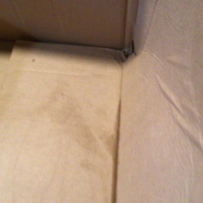 Guest review image 2 of 6, zoom in