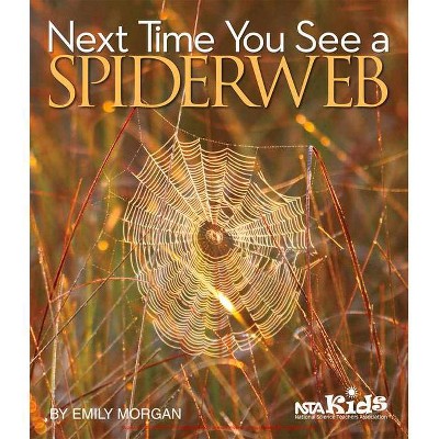 Next Time You See a Spiderweb - by  Emily Morgan (Paperback)