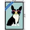 Trends International Andy Westface - Boston Terrier Work Hard Framed Wall Poster Prints - 3 of 4