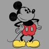Boy's Disney Classic Mickey Distressed Pull Over Hoodie - 2 of 4