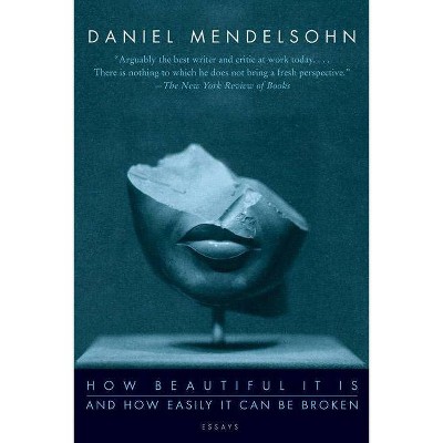 How Beautiful It Is and How Easily It Can Be Broken - by  Daniel Mendelsohn (Paperback)