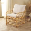 Reiley Accent Chair W/ Cushion - ACH6524A - White/Natural - Safavieh - 4 of 4