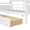 PAGED Twin Size Daybed Wooden Bed Frame Modern Sofa Bed with 2 Storage Drawers and Open Bedside Shelves - 3 of 4