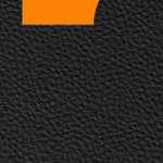 tennessee volunteers