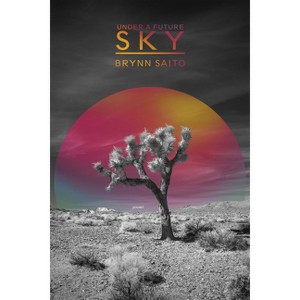 Under a Future Sky - by  Brynn Saito (Paperback) - 1 of 1