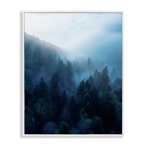 Stupell Industries Daylight over Pine Forest Framed Giclee Art - 1 of 4