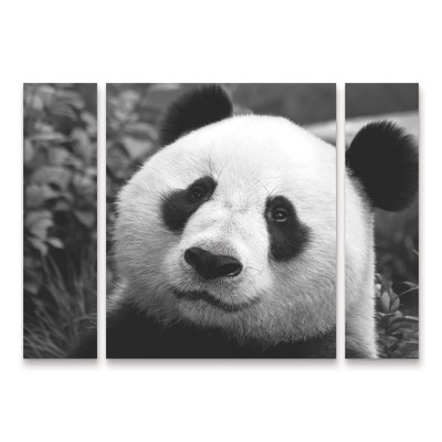 Trademark Fine Art SD Smart Giant Panda 3 Piece Panel Set Art